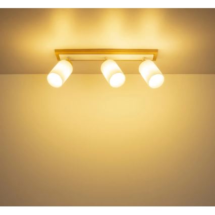 Globo - Spotlight 3xE27/60W/230V Oak/White