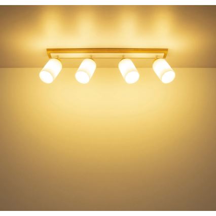 Globo - Spotlight fixture 4xE27/60W/230V oak/white