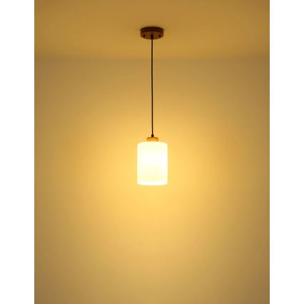 Globo - Cable-hung pendant 1xE27/60W/230V Oak/White