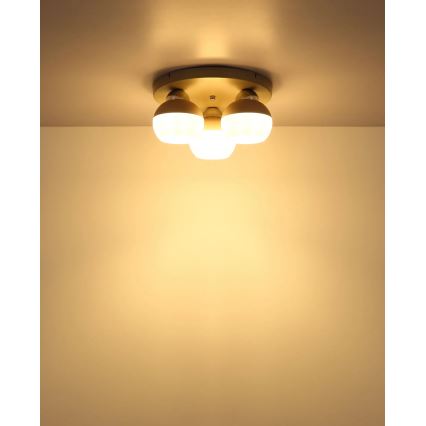 Globo - Ceiling light 3xE27/60W/230V Ø 31.5 cm