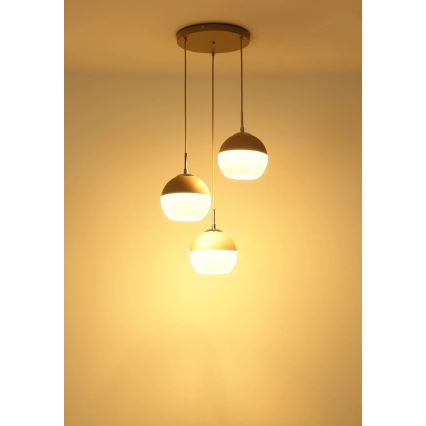 Globo - Cable-suspended pendant 3xE27/60W/230V