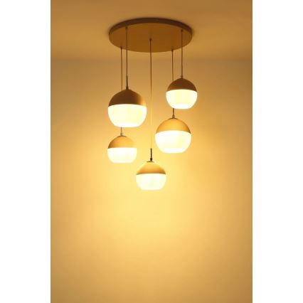 Globo - Cable Pendant Chandelier 5xE27/60W/230V