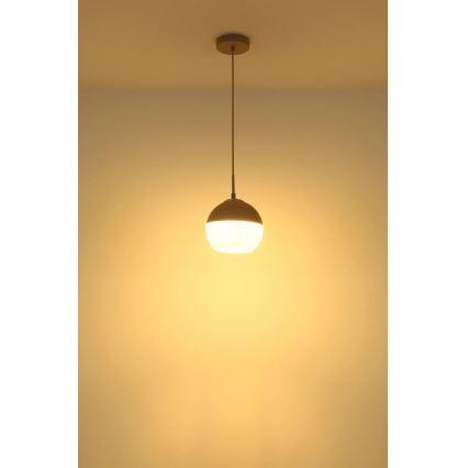 Globo - Cable-hung pendant light 1xE27/60W/230V Ø 20 cm