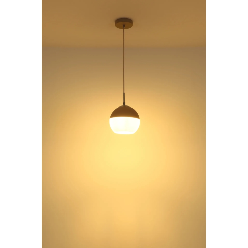 Globo - Cable-hung pendant light 1xE27/60W/230V Ø 20 cm