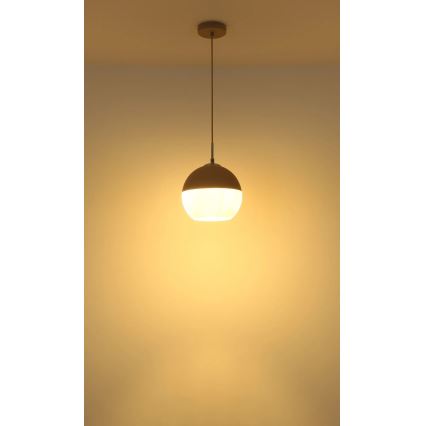 Globo - Cable-suspended pendant light 1xE27/60W/230V Ø 25 cm