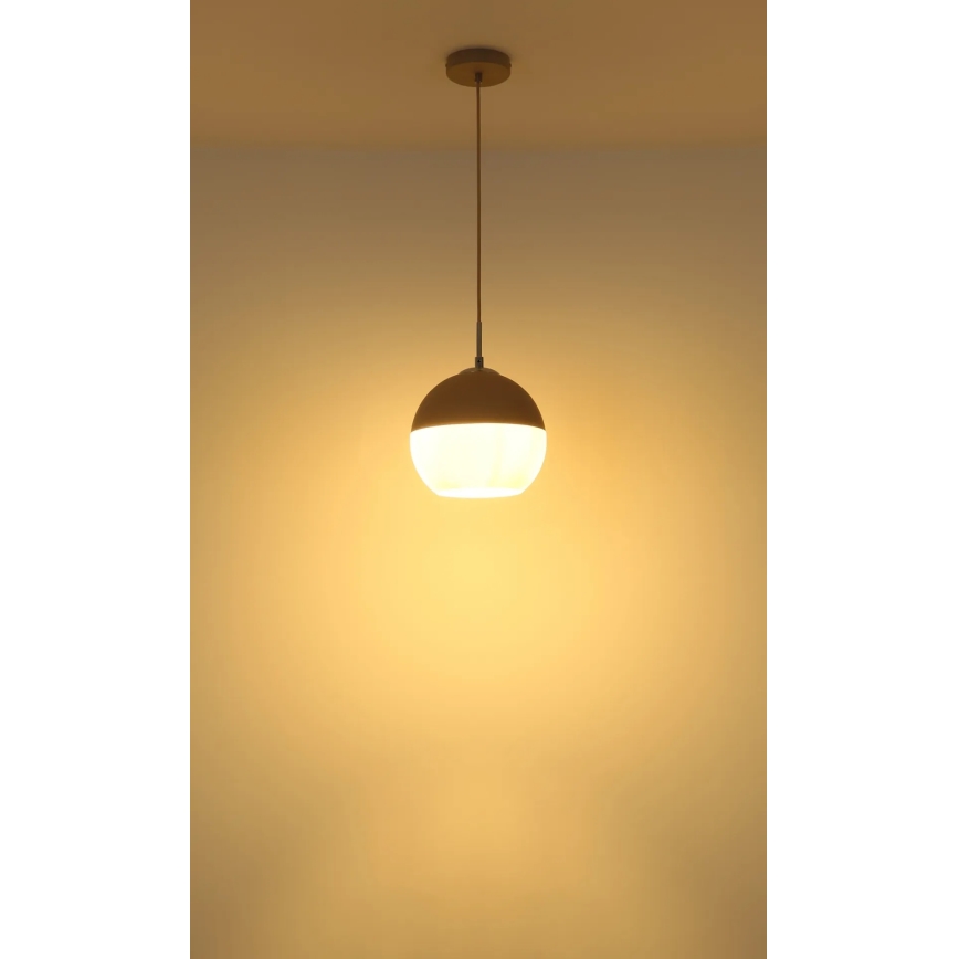 Globo - Cable-suspended pendant light 1xE27/60W/230V Ø 25 cm