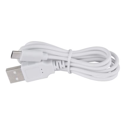 Globo - LED Dimmable touch table lamp LED/2W/5V 1200 mAh USB clear