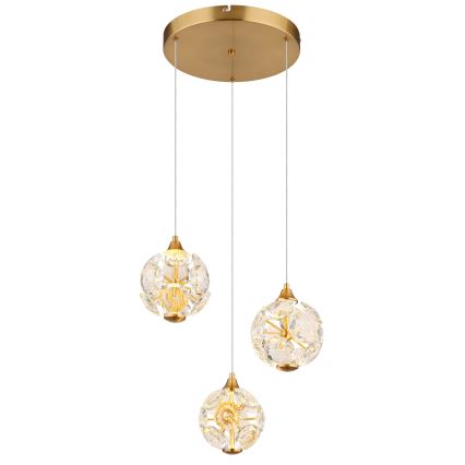 Globo - LED cable-suspended chandelier LED/24W/230V 3000K Gold