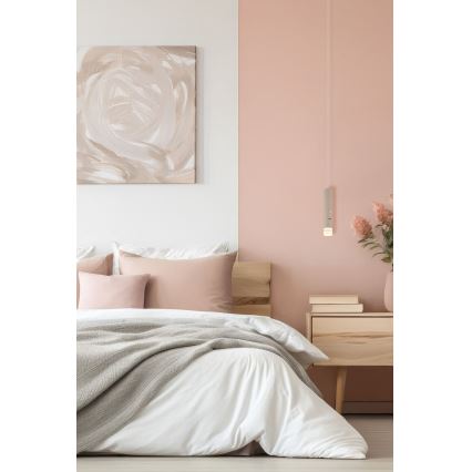 Globo - LED 2-in-1 Dimmable Touch Rechargeable Light LED/2W/230/5V