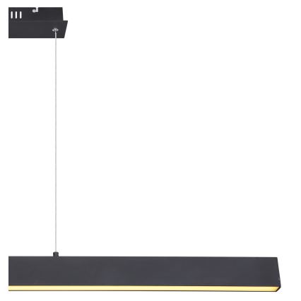 Globo - Dimmable LED pendant on cable LED/40W/230V 3000K