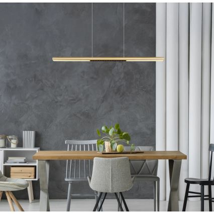 Globo - LED Pendant Light on Cable LED/24W/230V 3000K