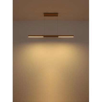 Globo - LED Pendant Light on Cable LED/24W/230V 3000K