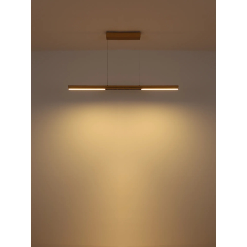 Globo - LED Pendant Light on Cable LED/24W/230V 3000K