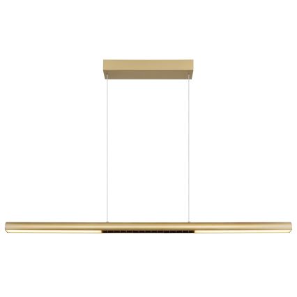 Globo - LED Pendant Light on Cable LED/24W/230V 3000K