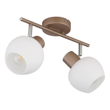 Globo - 2-Light Spotlight 2xE27/40W/230V