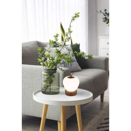 Globo - LED Dimmable touch table lamp LED/2W/3,7V 2700K/4000K/6500K 1200 mAh USB brown