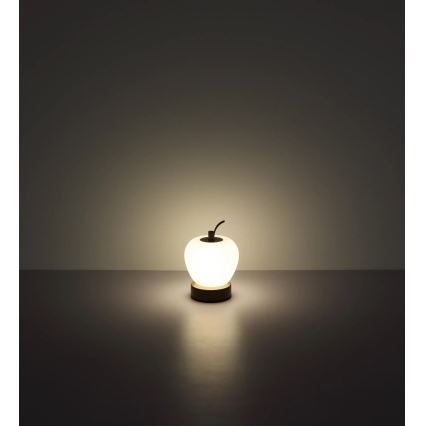 Globo - LED Dimmable touch table lamp LED/2W/3,7V 2700K/4000K/6500K 1200 mAh USB brown