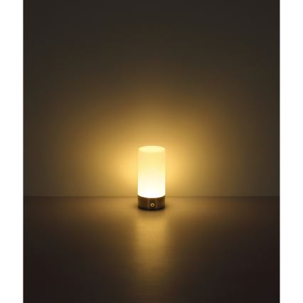 Globo - LED RGBW Dimmable touch outdoor table lamp LED/1,8W/5V 1500 mAh IP44 matte chrome