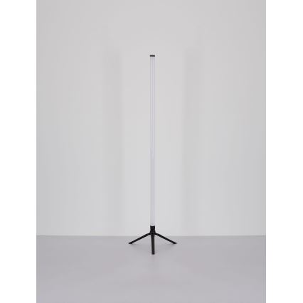 Globo - LED RGB Dimmable floor lamp LED/7W/5V + remote control