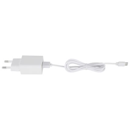 Globo - Dimmable Rechargeable LED Table Decoration, 4W/5V, 1800 mAh - Unicorn