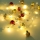 Globo 29900-20 - LED Decorative chain 20xLED/0,03W/2xAA