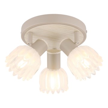Globo - 3-Light Spotlight 3xE14/40W/230V