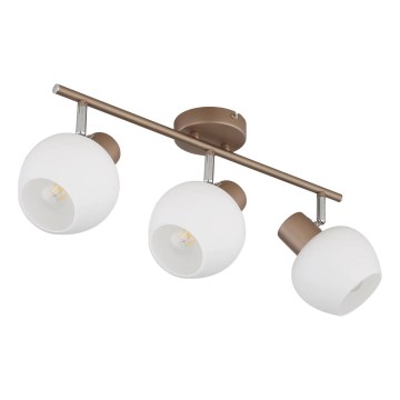 Globo - 3-Light Spotlight 3xE27/40W/230V