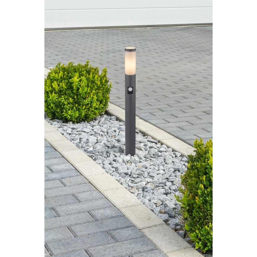 Globo - Outdoor lamp with sensor 1xE27/15W/230V IP44 80 cm anthracite