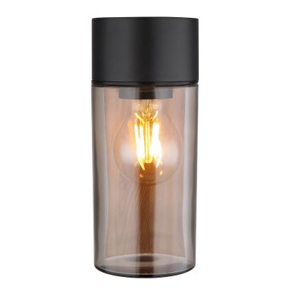 Globo - Outdoor wall light 1xE27/40W/230V IP44