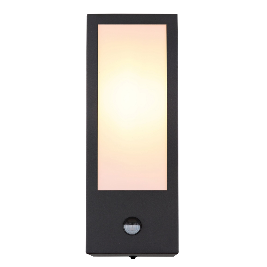 Globo wall light with sensor 1xE27/60W/230V IP44