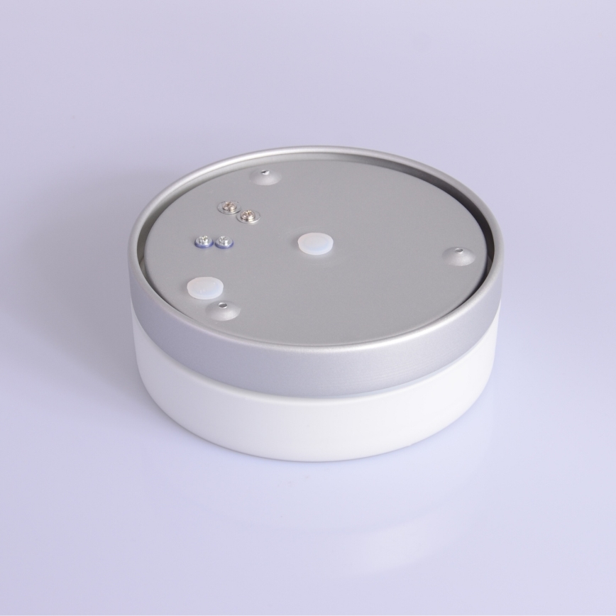 Globo - Bathroom light 1xE27/60W/230V d. 18,4 cm IP44