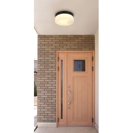 Globo - Bathroom light 1xE27/60W/230V d. 18,4 cm IP44