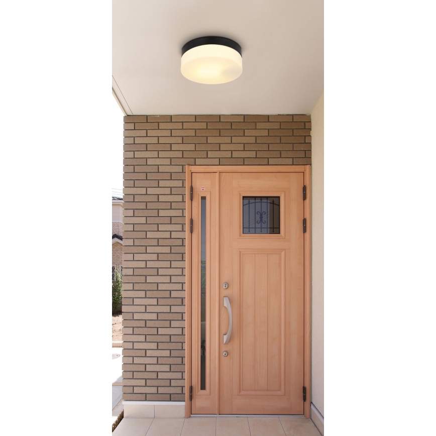 Globo - Bathroom light 1xE27/60W/230V d. 18,4 cm IP44