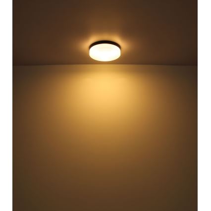Globo - Bathroom light 1xE27/60W/230V d. 18,4 cm IP44