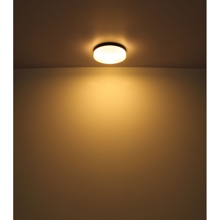 Globo - Bathroom light 1xE27/60W/230V d. 18,4 cm IP44