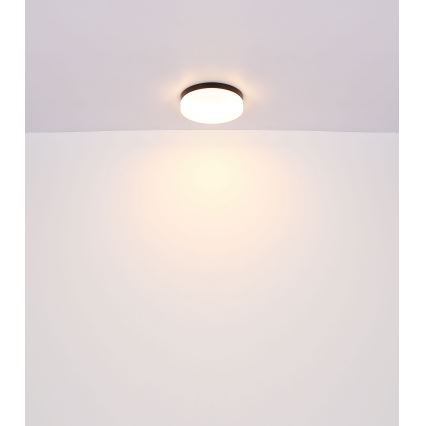 Globo - Bathroom light 1xE27/60W/230V d. 18,4 cm IP44