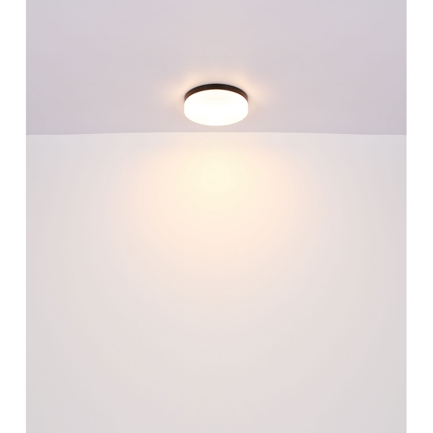 Globo - Bathroom light 1xE27/60W/230V d. 18,4 cm IP44
