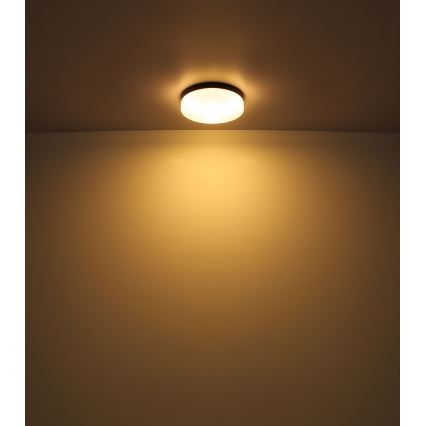 Globo - Bathroom light 2xE27/60W/230V d. 24 cm IP44