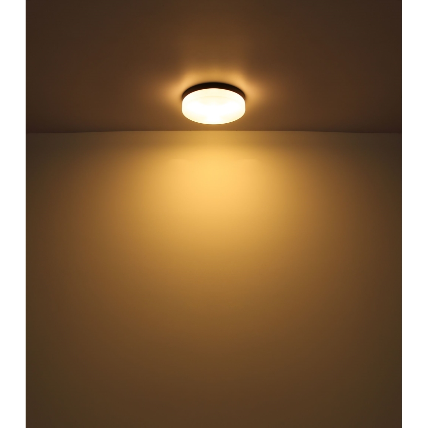 Globo - Bathroom light 2xE27/60W/230V d. 24 cm IP44