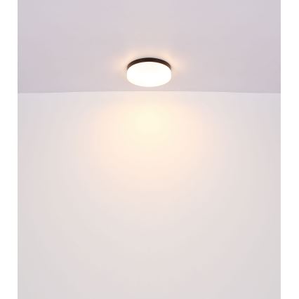 Globo - Bathroom light 2xE27/60W/230V d. 24 cm IP44