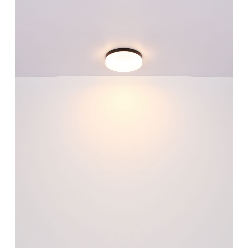 Globo - Bathroom light 2xE27/60W/230V d. 24 cm IP44