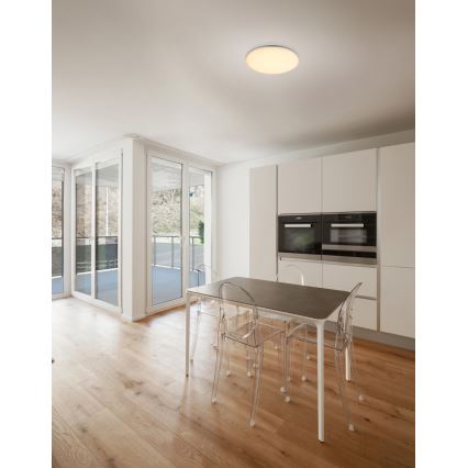 Globo - LED Outdoor Ceiling Light LED/24W/230V IP54