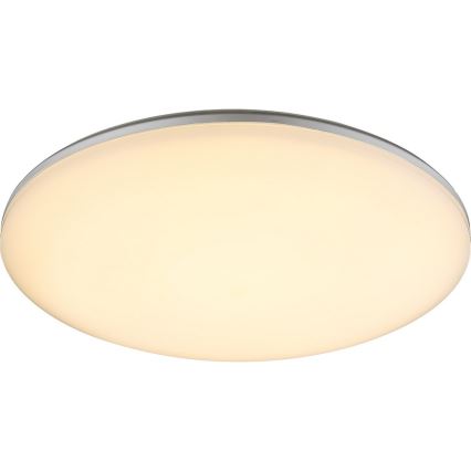 GLOBO 32118-24 - Outdoor LED ceiling light DORI 1xLED/24W/230V