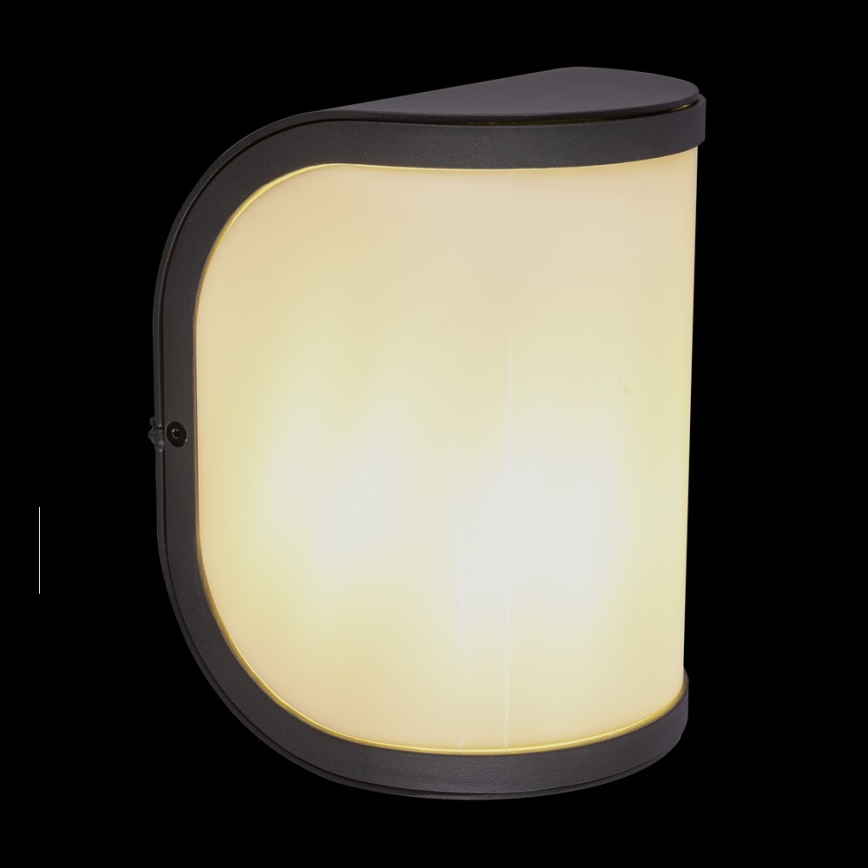 Globo 32128A - Outdoor wall light  SEGGA 1xE27/60W/230V IP44