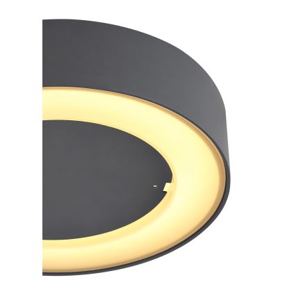 Globo - LED Outdoor ceiling light LED/12W/230V IP54
