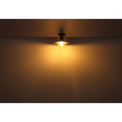 Globo 3274DW - Ceiling light LINDA 1xE27/15W/230V