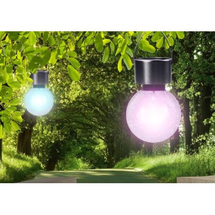 Globo - LED Solar light LED/0,05W/1,2V IP44