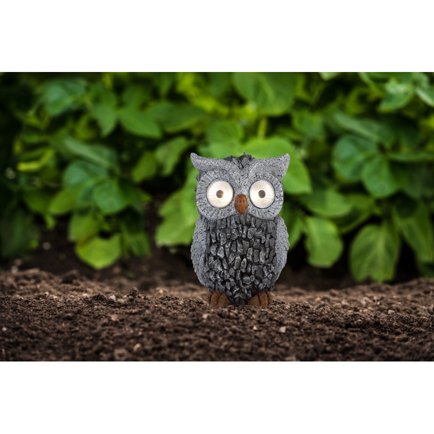 Globo - LED Solar light 2xLED/0,06W/3V IP44 owl