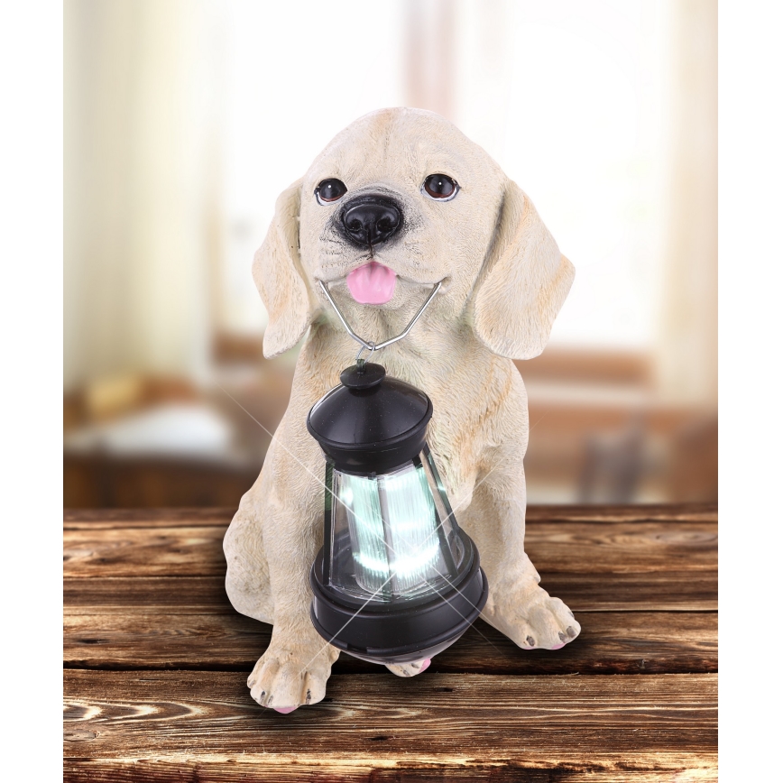 Globo - LED Solar light LED/0,06W/3V dog IP44 600 mAh
