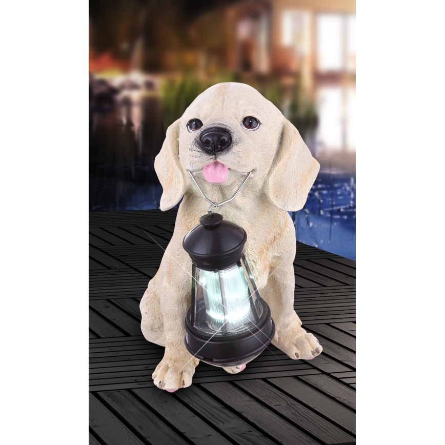 Globo - LED Solar light LED/0,06W/3V dog IP44 600 mAh